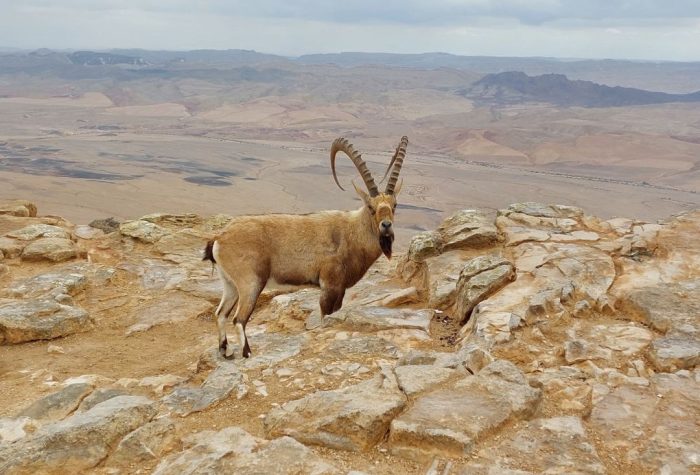 309125264_543967914398385_3481287157967432227_n