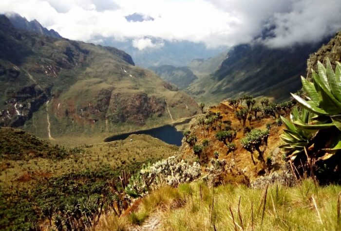 IMG-20220721-WA0014