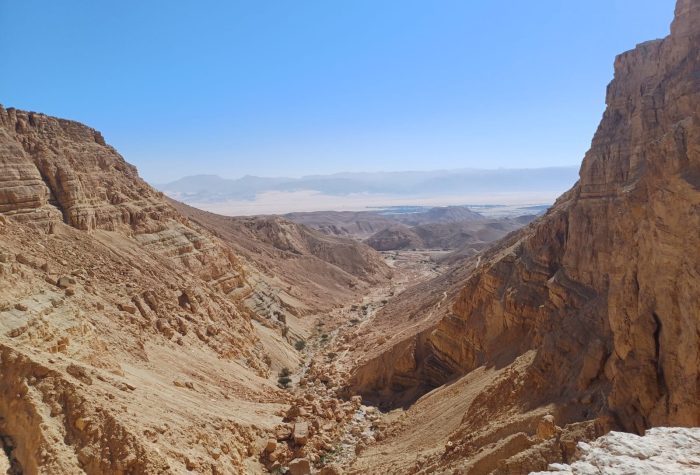 תמונה של WhatsApp‏ 2025-10-22 בשעה 08.28.11_eed0d684